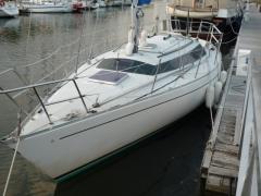 Mallard 9m